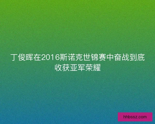 丁俊晖在2016斯诺克世锦赛中奋战到底收获亚军荣耀